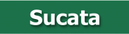 Sucata